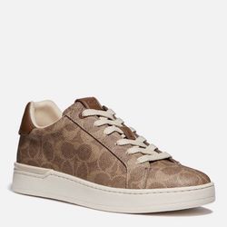 Lowline C Logo Print Canvas Sneakers
