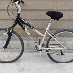 Comfort Bike