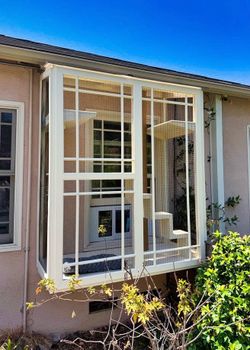 Catio Cat Enclosure