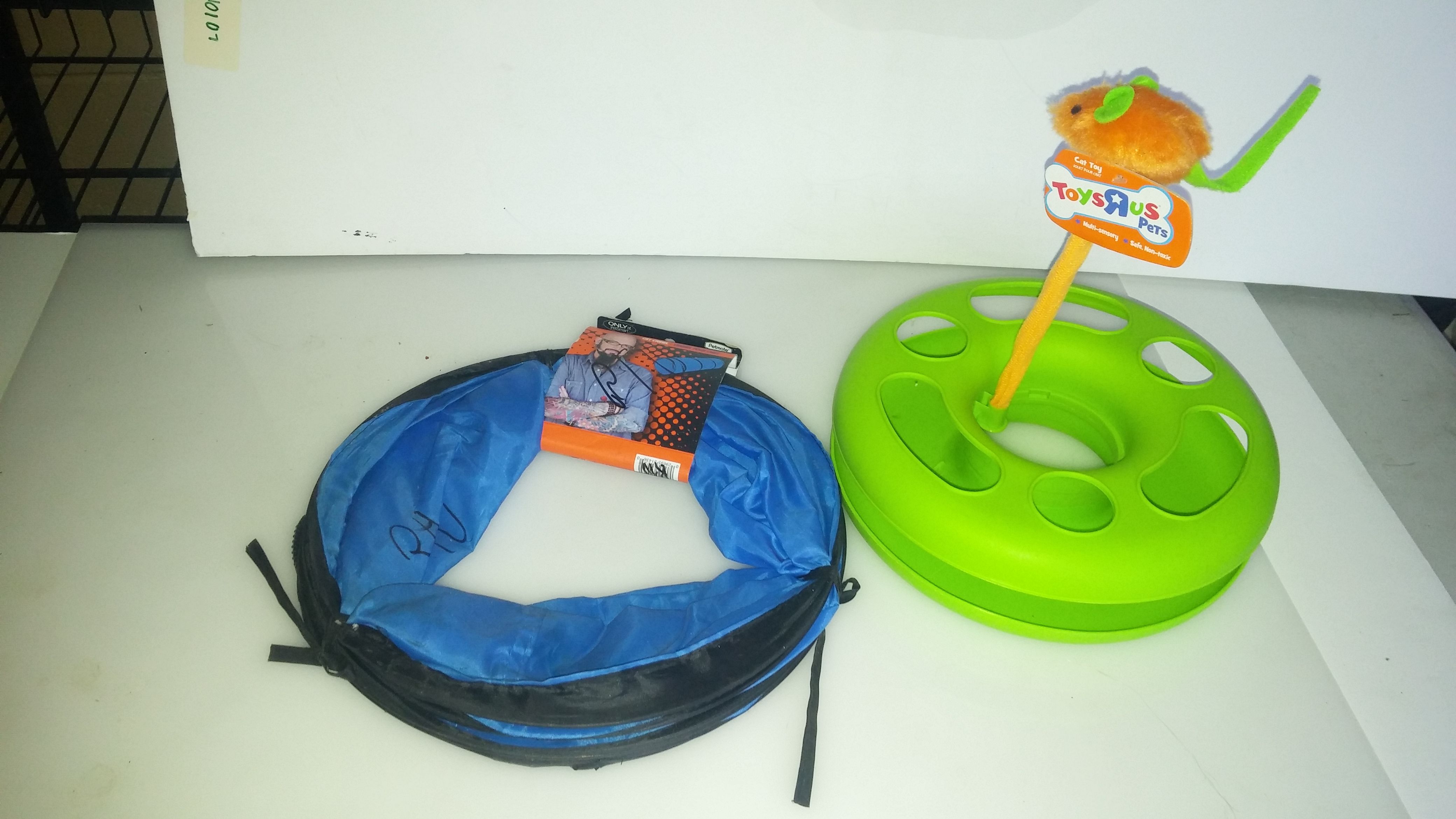 Cat. Tunnel and toy