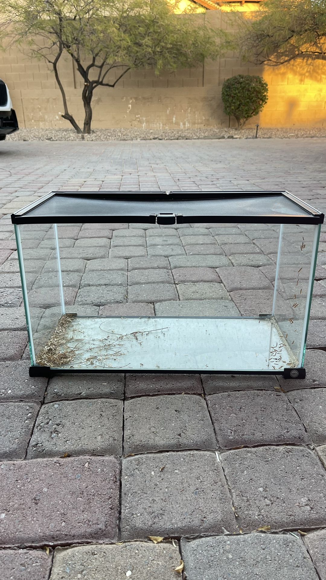 Lizard, Snake, Spider Aquariums / Terrariums 