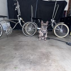 Low Rider Bikes