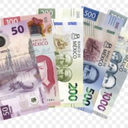 Will Buy Mexican Pesos 
