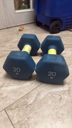 Pair of 20lb dumbbells