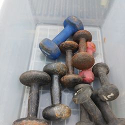 Box Of Weights
