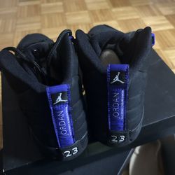 Jordan 12 