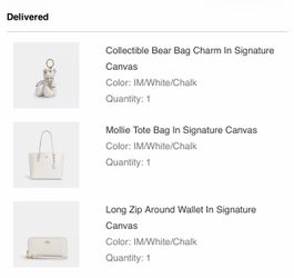 COACH PURSE