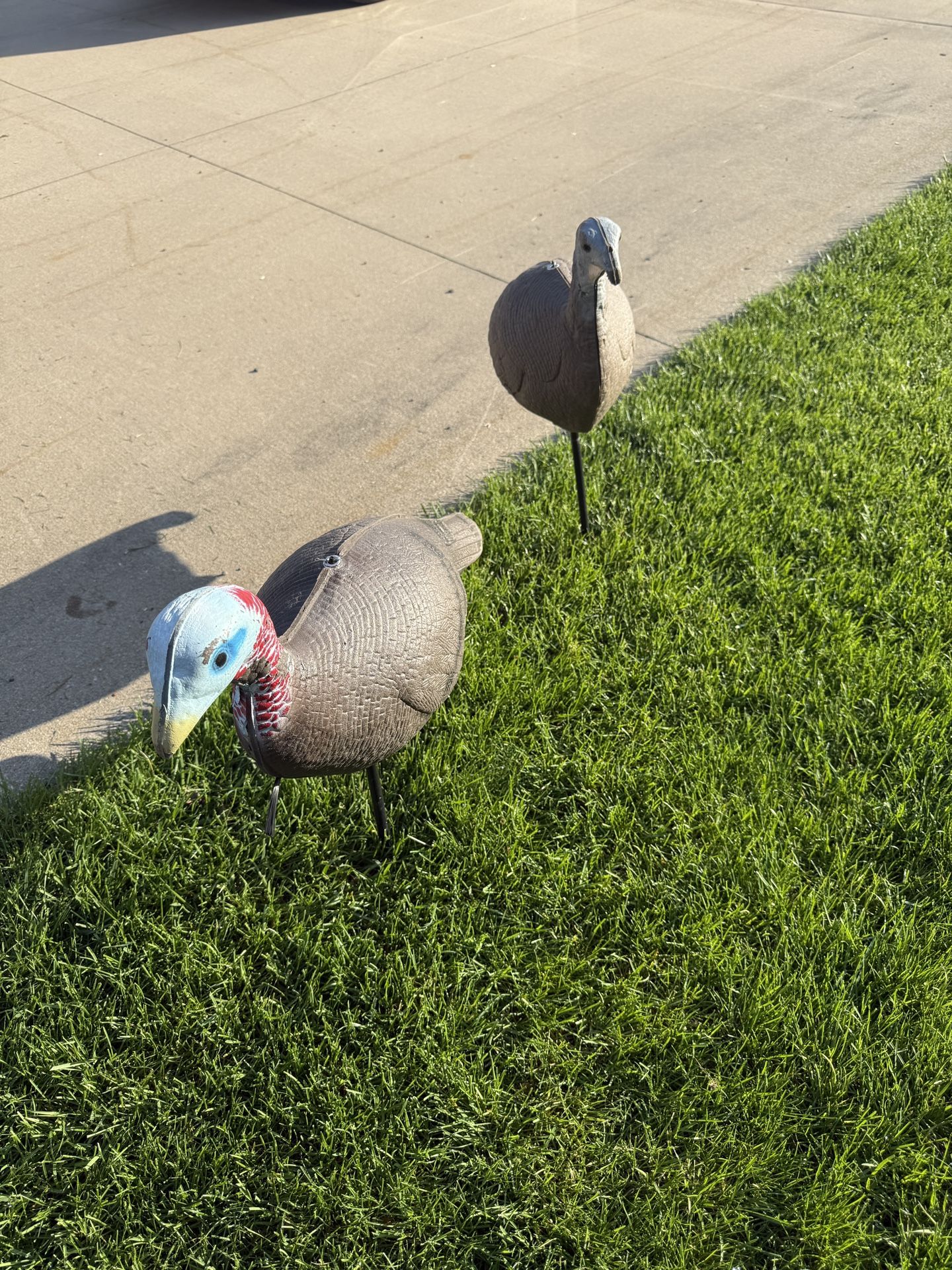 Turkey Decoys 1 Hen and 1 Jake