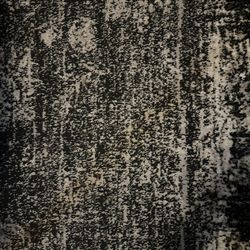 Large Area Carpet $100