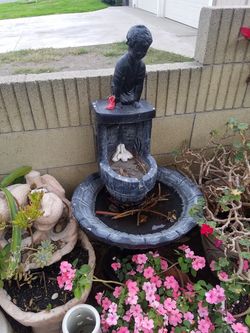 Water Fountain