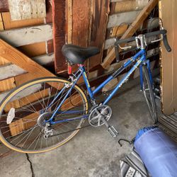 Bicycle 