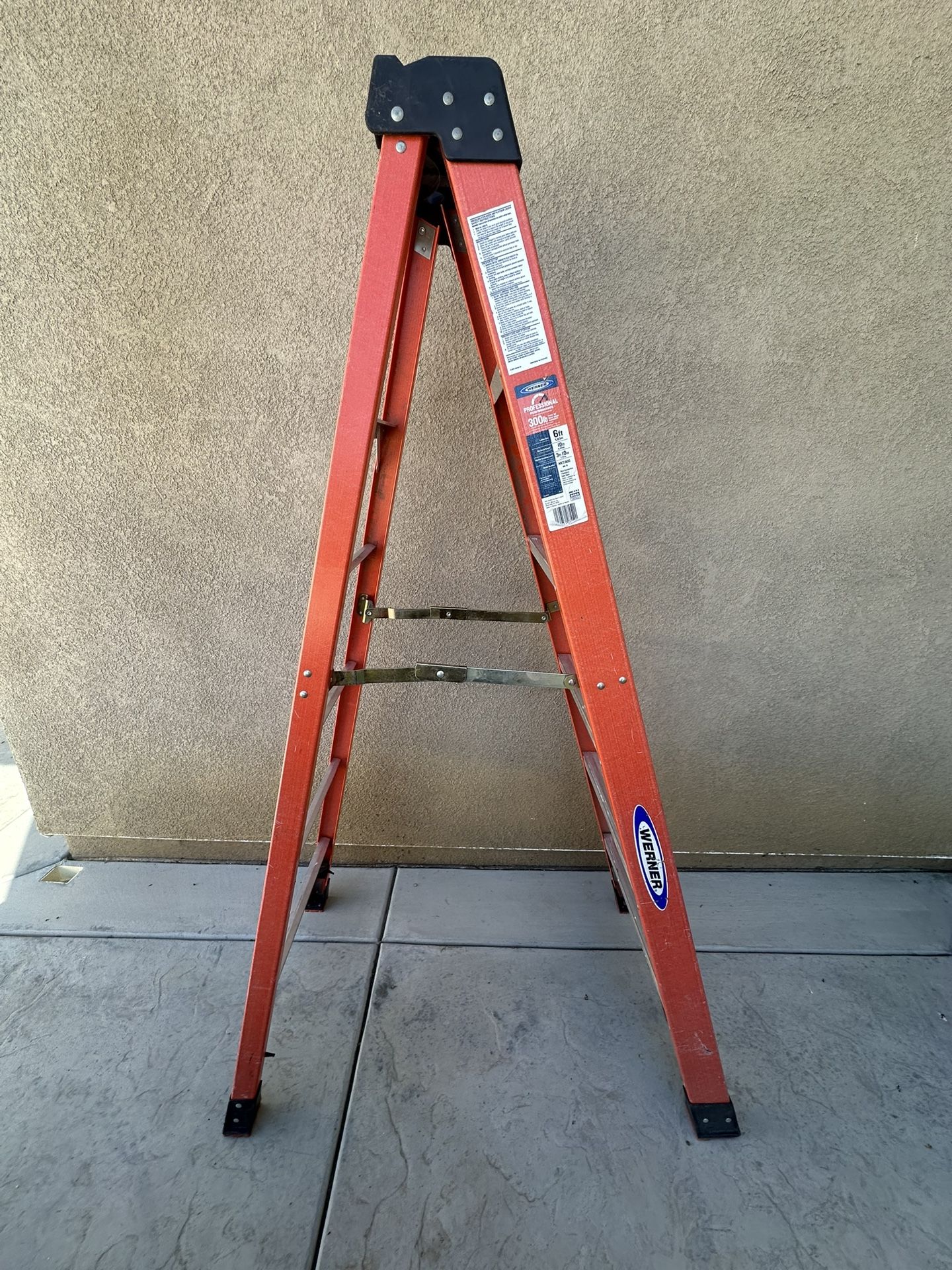 Warner 6 ft. Ladder