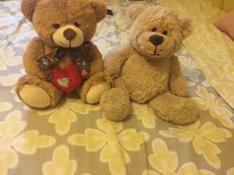Bears