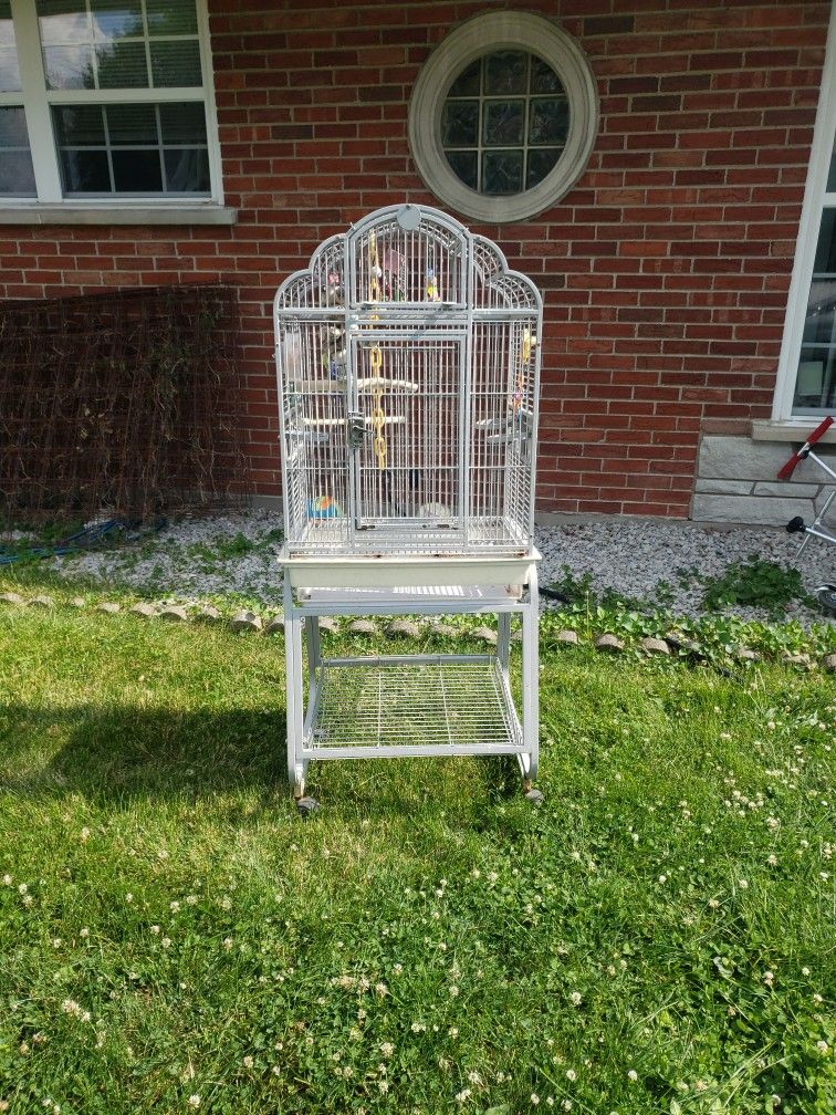 Bird Cage 