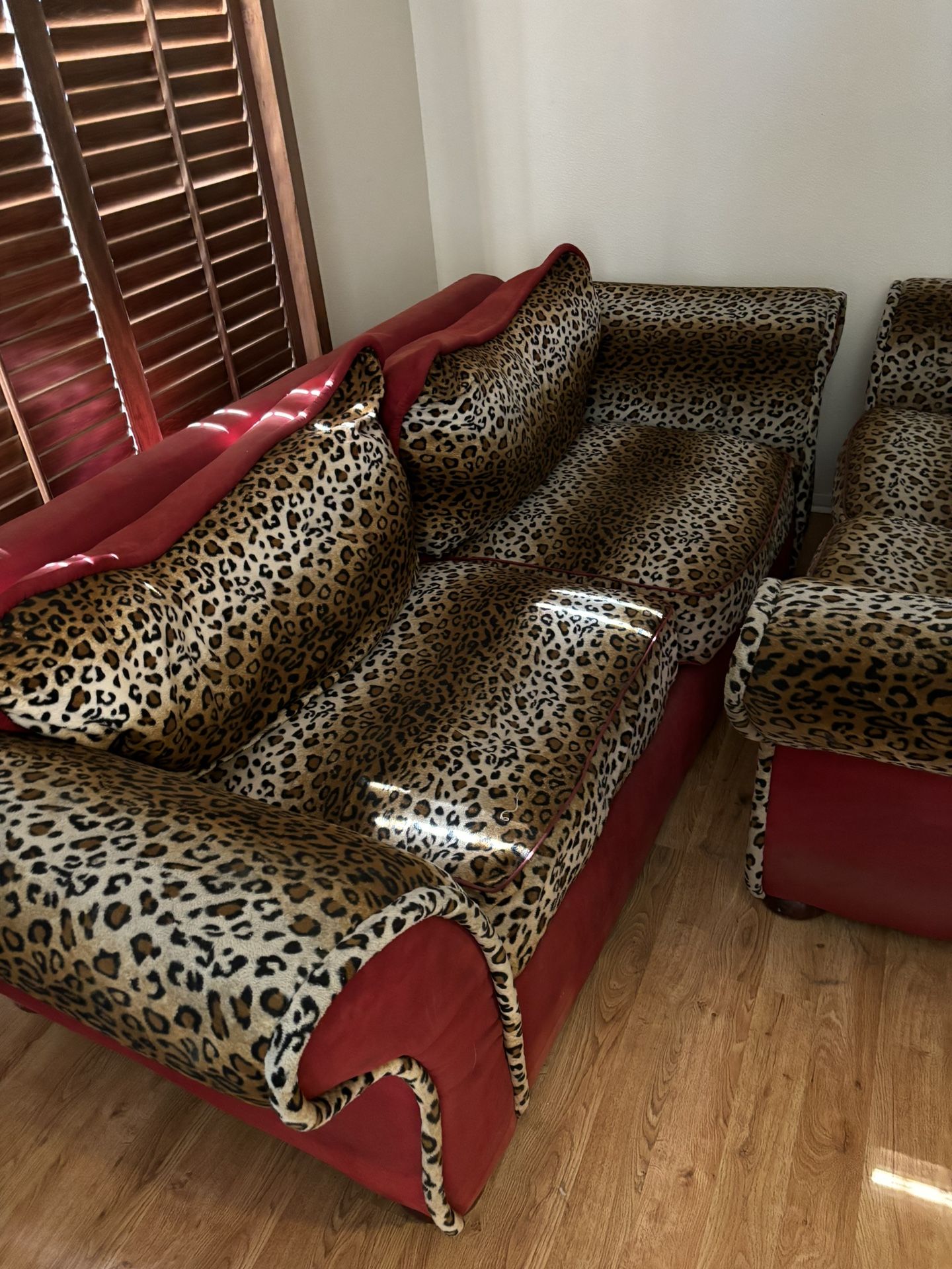 Leopard Print Couch