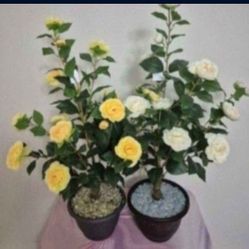 3ft Faux Yellow & White Camellia Trees Topped with Citrine / Clear Stones in 9in Resin Planters @ Lasting Creations