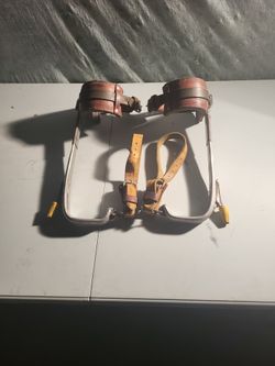 Pole and tree climbing set