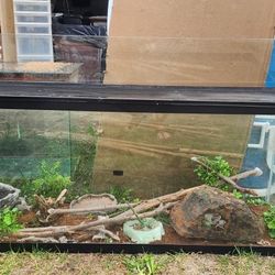 Terrarium