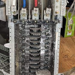 Panel