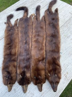 Mink Hides
