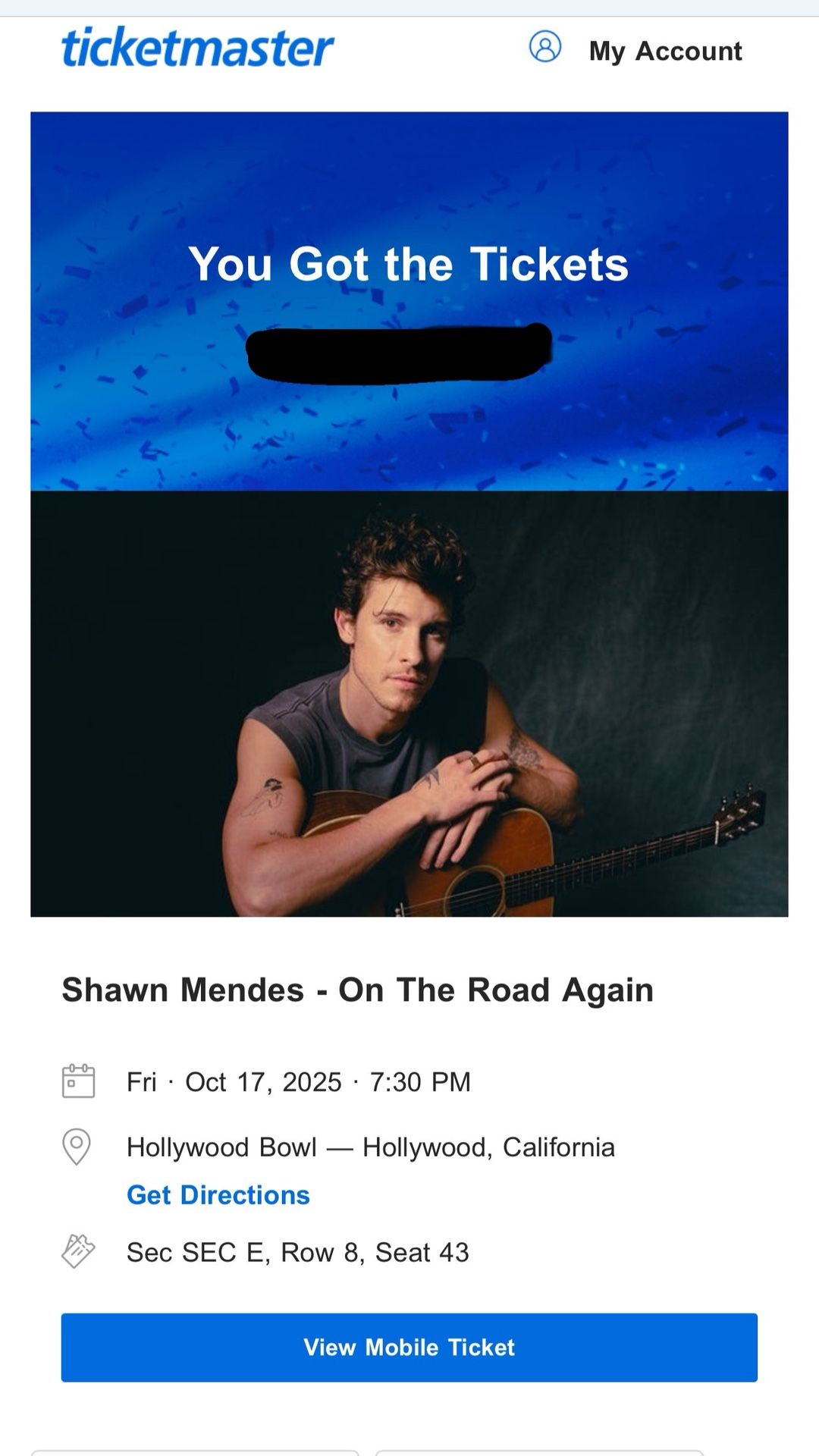 Shawn Mendes Concert