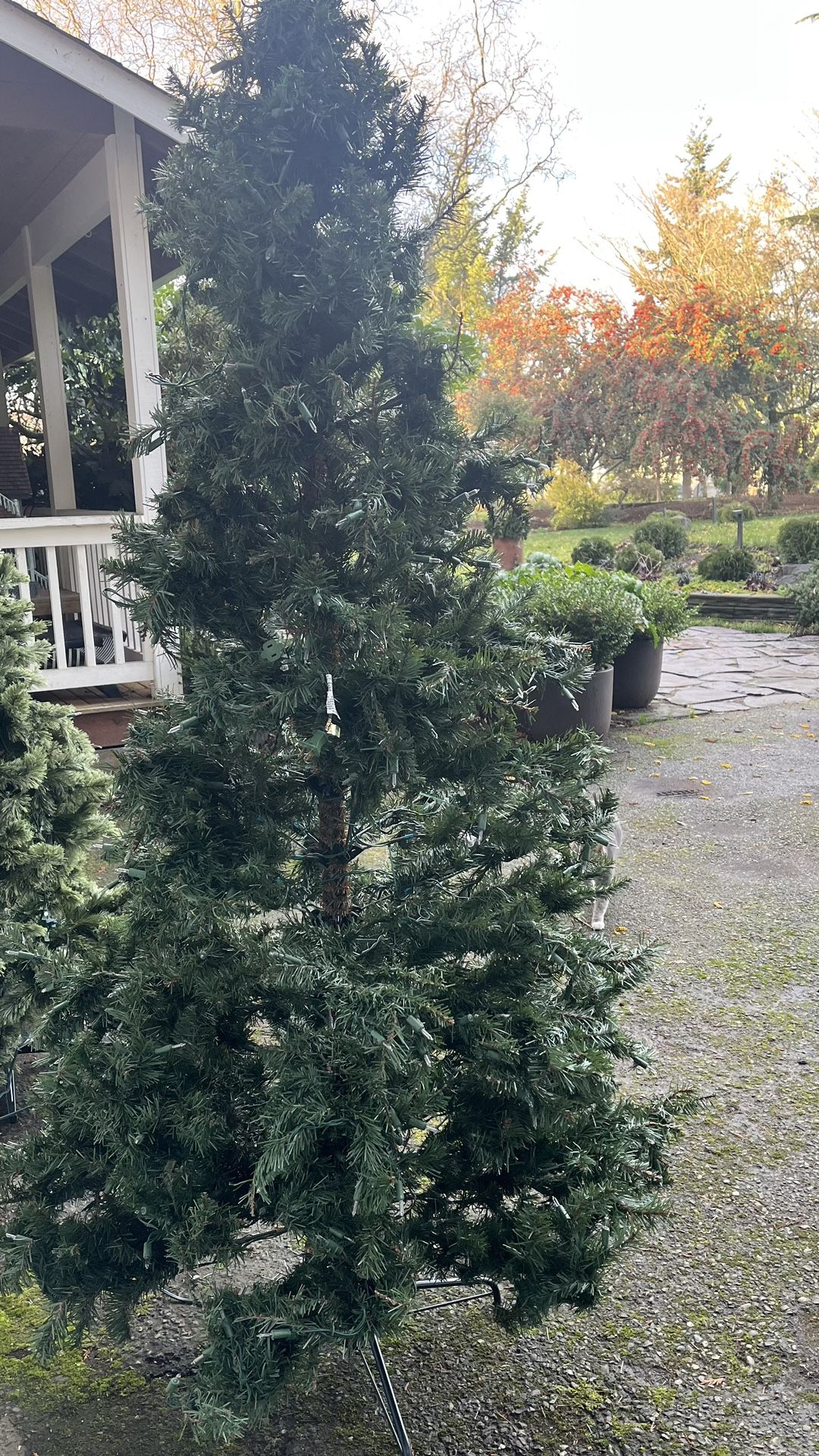 Free 7 Foot Christmas Tree Lights Don’t Work for Sale in Bonney Lake, WA OfferUp