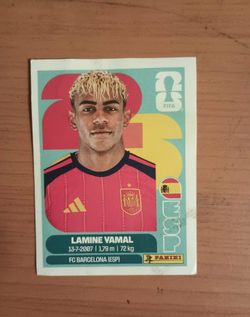 FIFA World Cup Panini Sticker