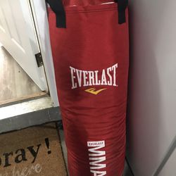 Everlast 70lb MMA Punching Bag