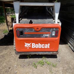 Bodcat De Venta