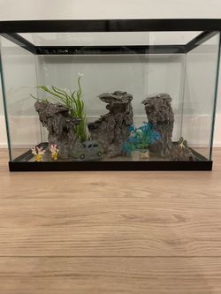 20 Gallon Fish Tank