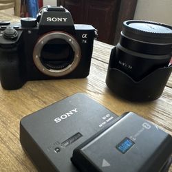 Sony A7III & Sony/ Zeiss 55mm 1.8