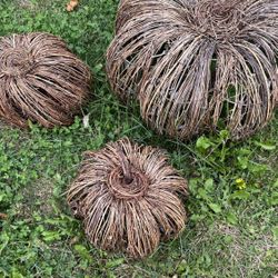 Three Rare Grapevine Pumpkins 