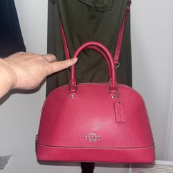 Coach Mini Sierra Crossbody