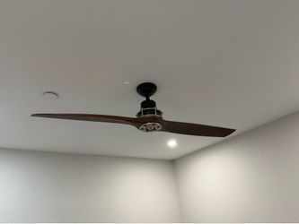 Ceiling fan
