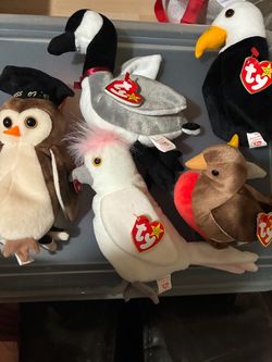 TY birds set of 5