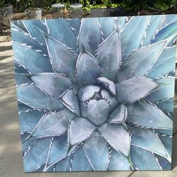 Large 47x47 Crytal Flora Canvas