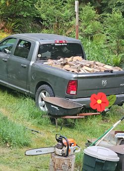 Fire wood