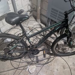 Sidewinder bike 