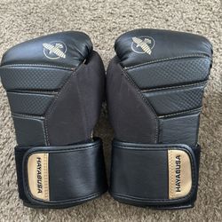 Hayabusa T3 Boxing Gloves