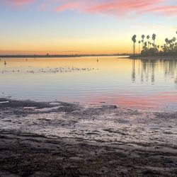 We Will Fix E-bikes, Normal Bikes, Scooters, Etc.