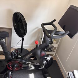 Peloton Bike, Shoes (2x), Weights