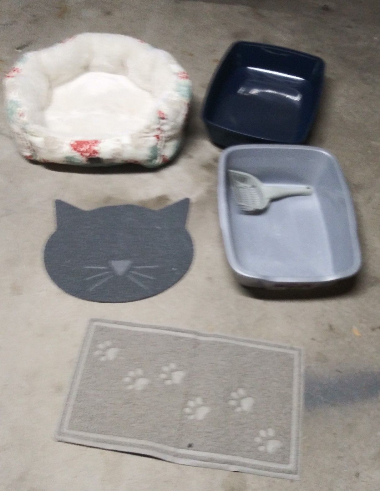 Cat Accessories