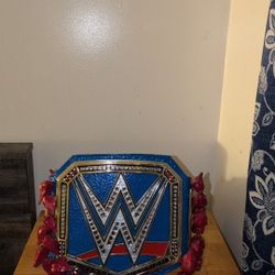 Bootleg WWE Universal Championship 