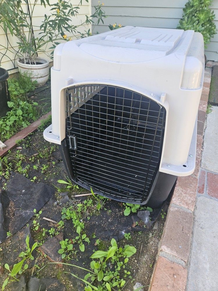 Pet Carrier/Kennel (Medium-Large)