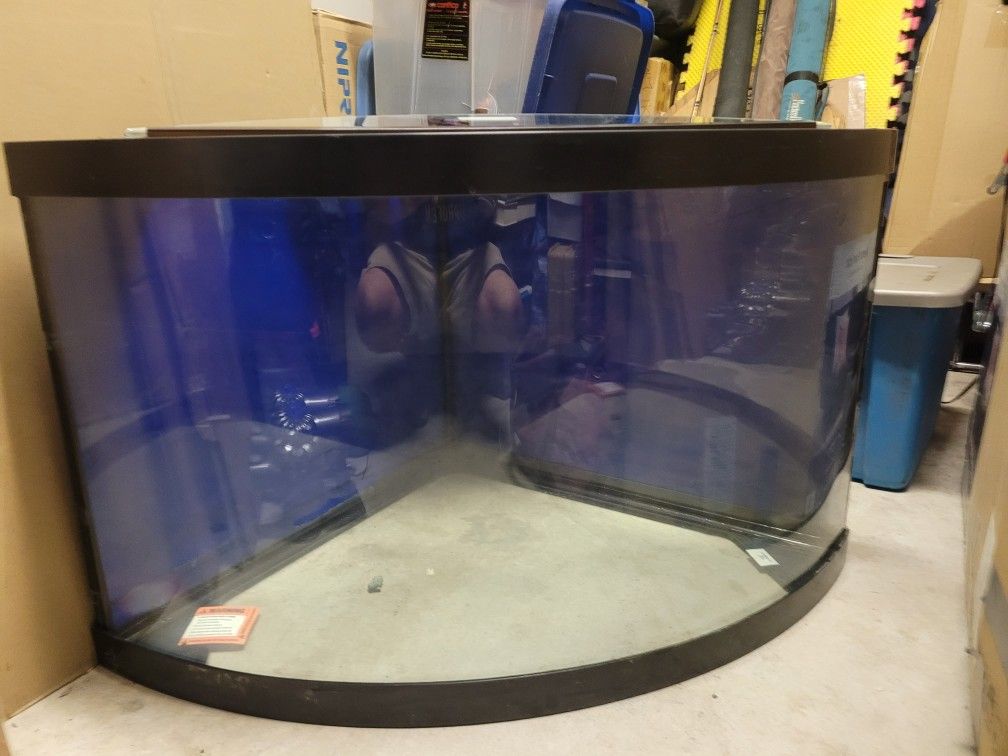 40 Gallon Corner Fish Tank With Accessories