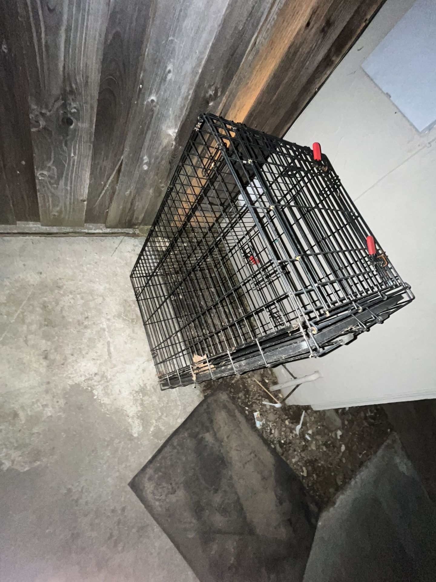 Big Dog Cage 