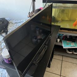 Vizio Monitor Tv 120 Hurts