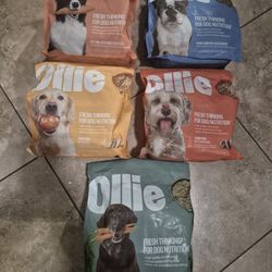 Ollie Frozen Dog Food