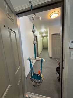 Baby Door Jumper with Toys