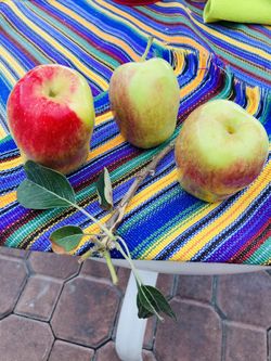 Organic Apples
